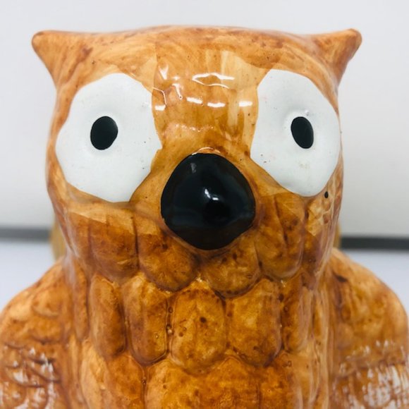 Mini Golden Brown Owl/Owlet Planter - Root Cuttings - Houseplants - Picture 2 of 8